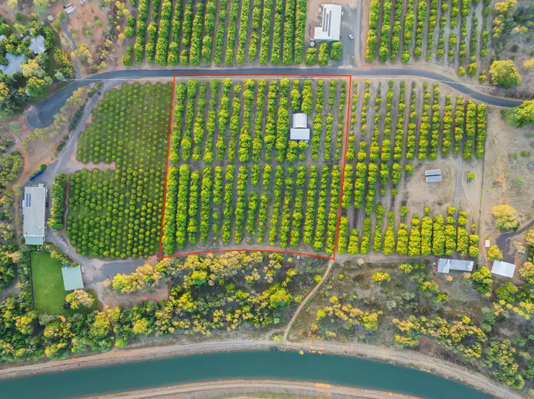 Main view of Homely rural property listing, Lot 142 Whimbrel Road, Kununurra WA 6743