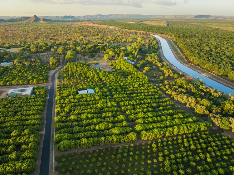 Seventh view of Homely rural property listing, Lot 142 Whimbrel Road, Kununurra WA 6743