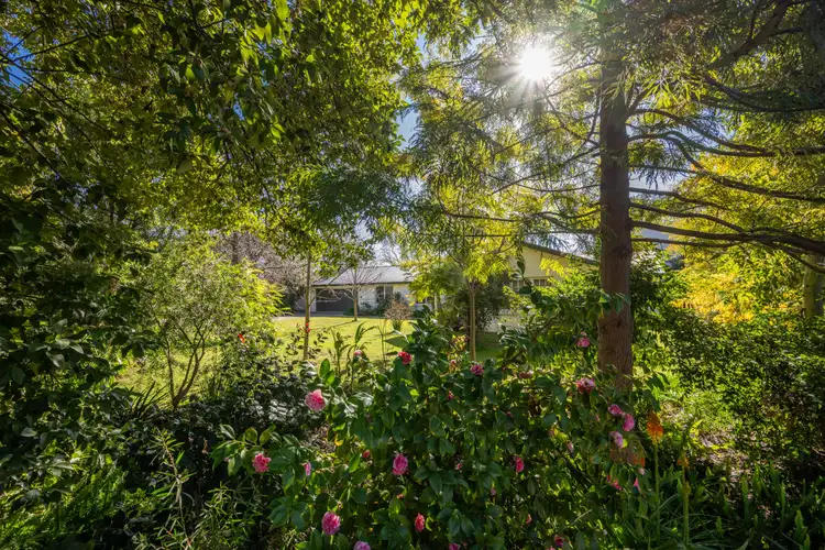 Fourth view of Homely house listing, 8 Waters Road, Shepparton VIC 3630