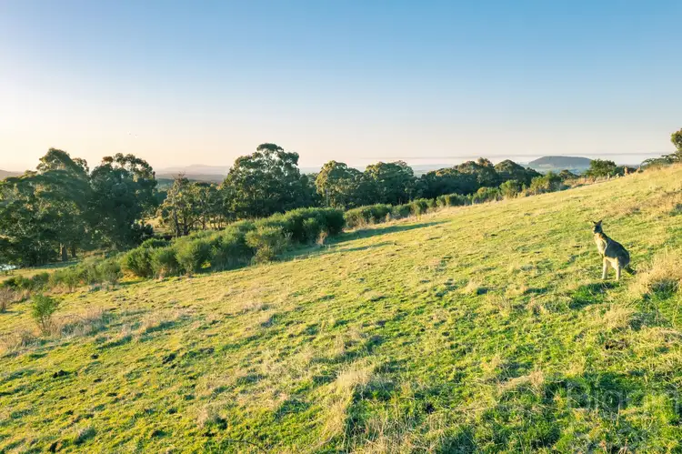 Sixth view of Homely land listing, 50 Scheggias Track, Daylesford VIC 3460