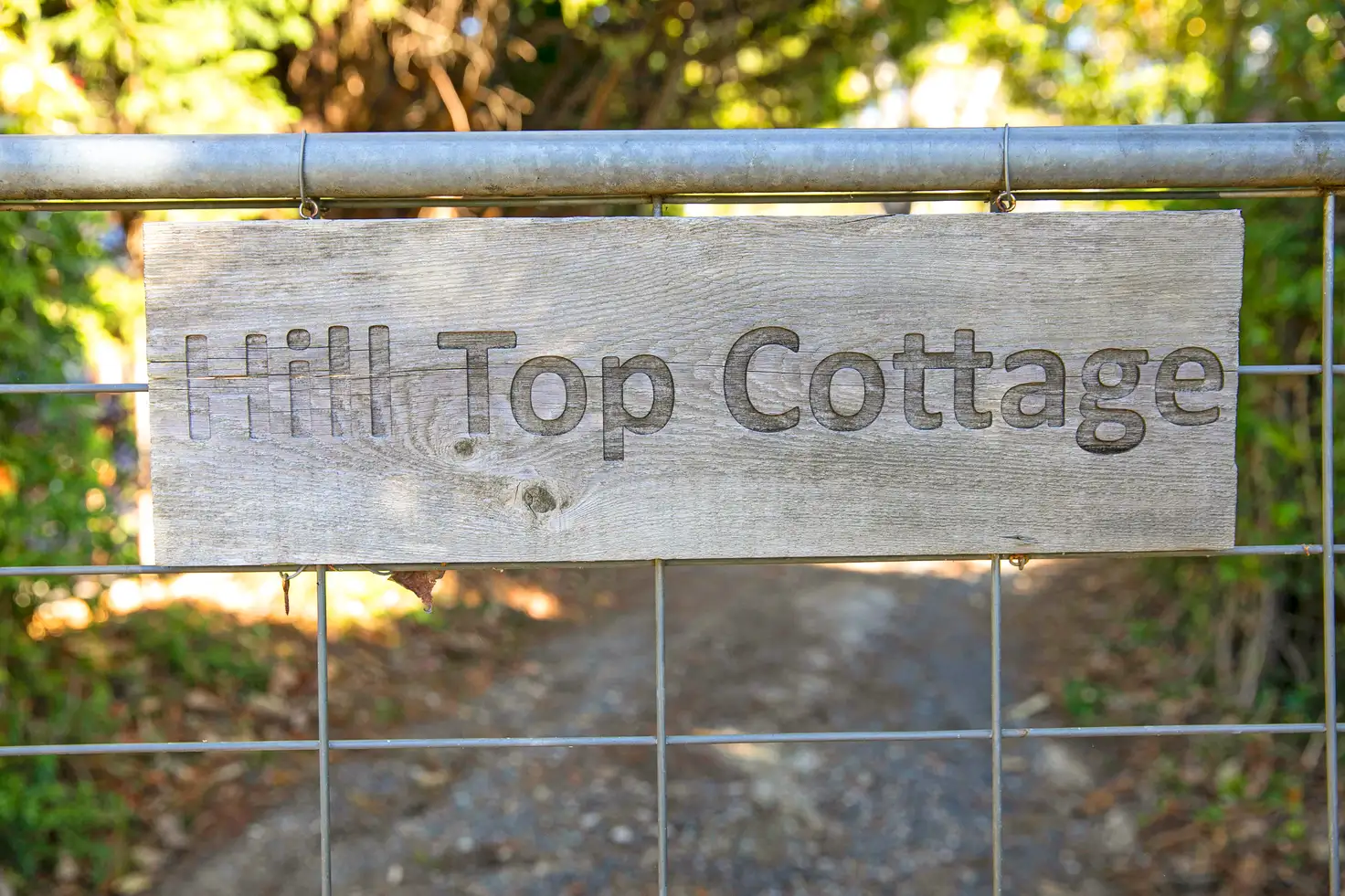 Main view of Homely house listing, 31 Ella Street, Hill Top NSW 2575