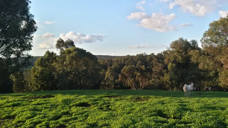 Main view of Homely land listing, LOT Lot 167 Bovell Street, Balingup WA 6253