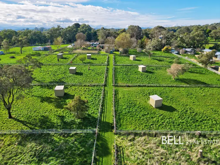 13 Coopers Road, Macclesfield VIC 3782