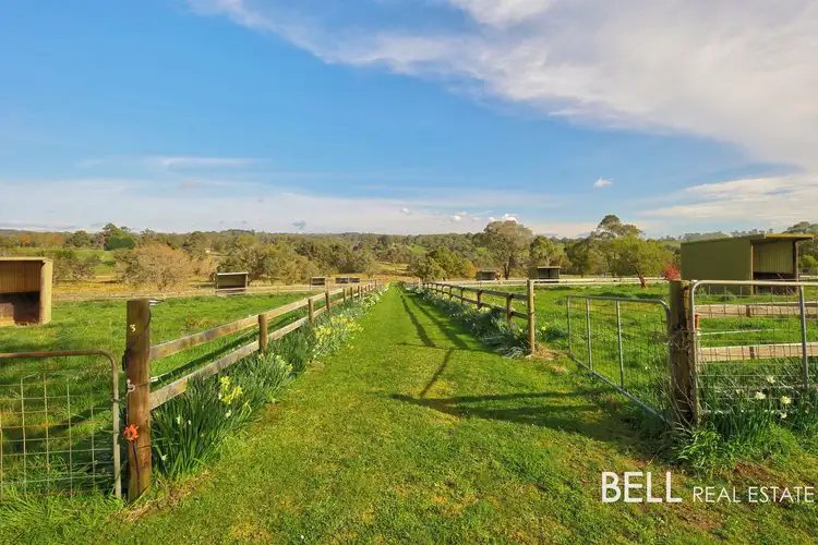 Sixth view of Homely house listing, 13 Coopers Road, Macclesfield VIC 3782