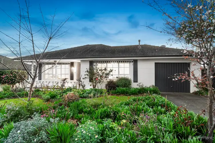 Main view of Homely unit listing, 1/29 Barkly Street, Box Hill VIC 3128