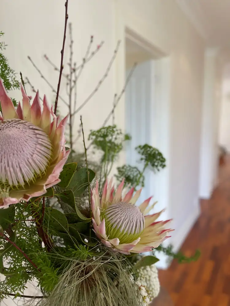 Third view of Homely townhouse listing, 3A Elm Grove Court, Torquay VIC 3228