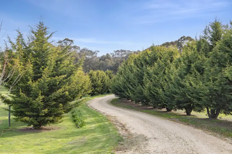 Second view of Homely house listing, 9 McKindleys Road, Barkers Creek VIC 3451