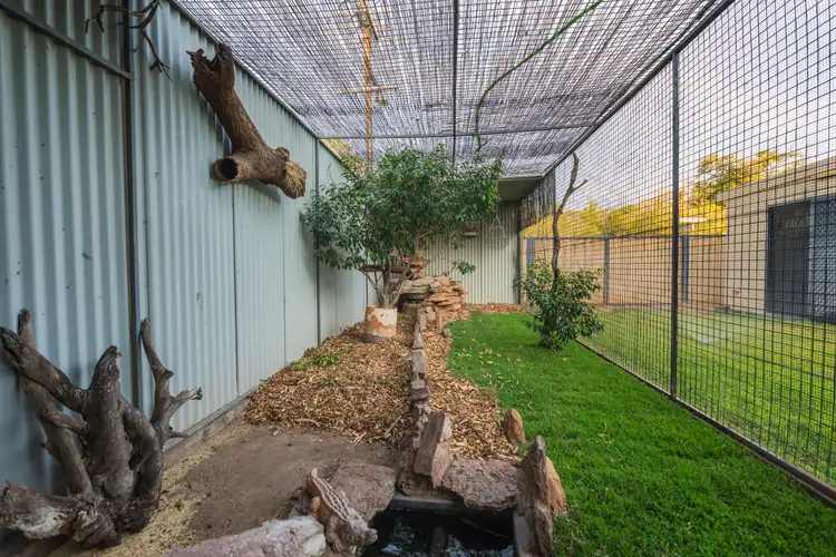 Fifth view of Homely house listing, 143 Konkerberry Drive, Kununurra WA 6743