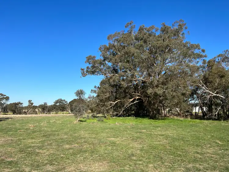Seventh view of Homely house listing, 1029 Kyneton Redesdale Road, Langley VIC 3444