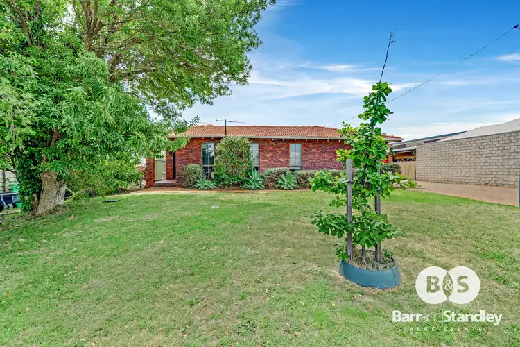 17 Willoughby Street, South Bunbury WA 6230