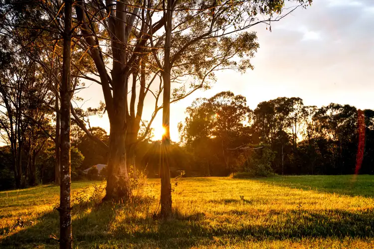 Sixth view of Homely land listing, 163 Cabbage Tree Road, Grose Vale NSW 2753