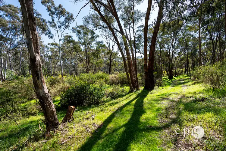 Fourth view of Homely land listing, 1126 Castlemaine Maldon Road, Maldon VIC 3463