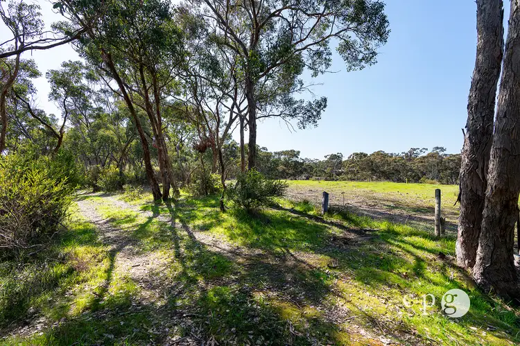 Fifth view of Homely land listing, 1126 Castlemaine Maldon Road, Maldon VIC 3463