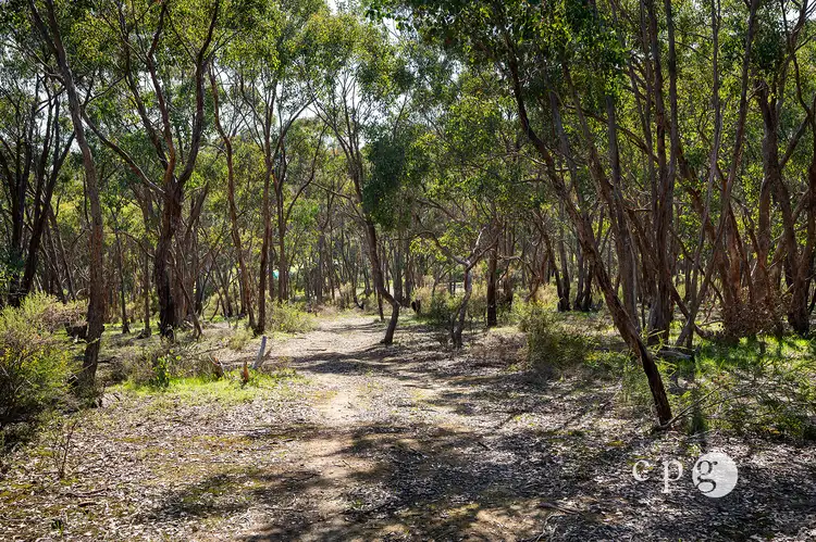 Sixth view of Homely land listing, 1126 Castlemaine Maldon Road, Maldon VIC 3463