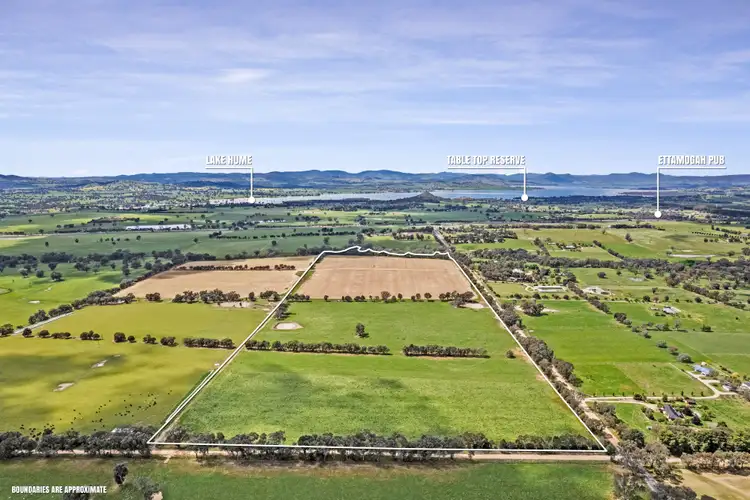 40 Sargeant Road, Table Top NSW 2640