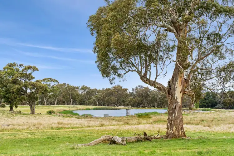 Third view of Homely land listing, 1067 Rochford Road, Newham VIC 3442