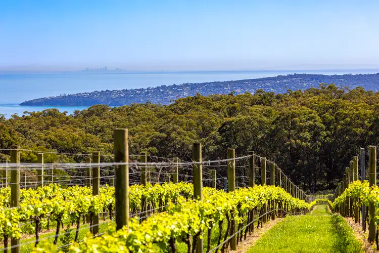 LOT Lot 1, 2 & 3, 376-396 Arthurs Seat Road, Red Hill VIC 3937