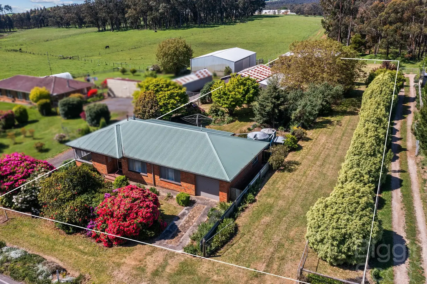 Main view of Homely house listing, 599 Daylesford Trentham Road, Musk VIC 3461