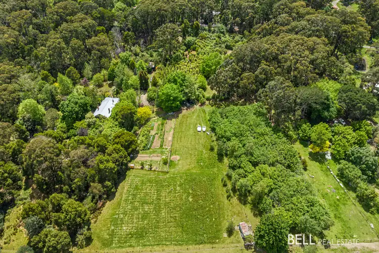 Fifth view of Homely house listing, 320 Eacotts Road, Hoddles Creek VIC 3139