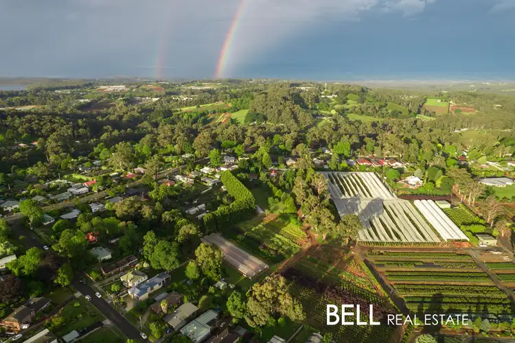 Second view of Homely house listing, 48 David Hill Road, Monbulk VIC 3793