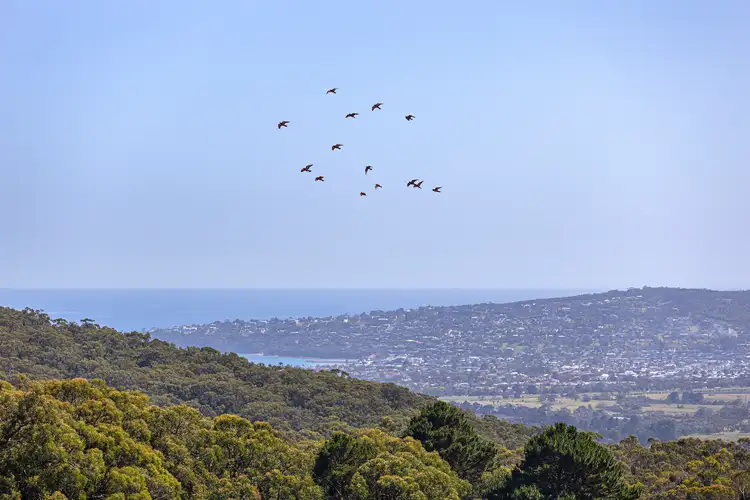 Fourth view of Homely rural property listing, 98 Sheehans Road, Red Hill VIC 3937