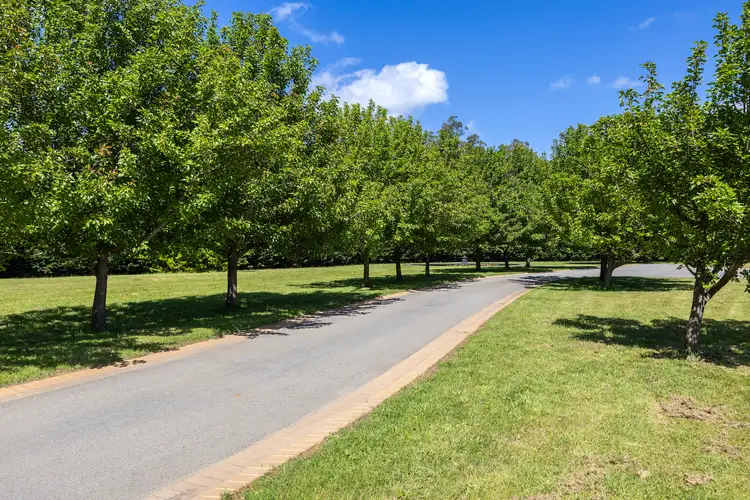 Fifth view of Homely rural property listing, 98 Sheehans Road, Red Hill VIC 3937