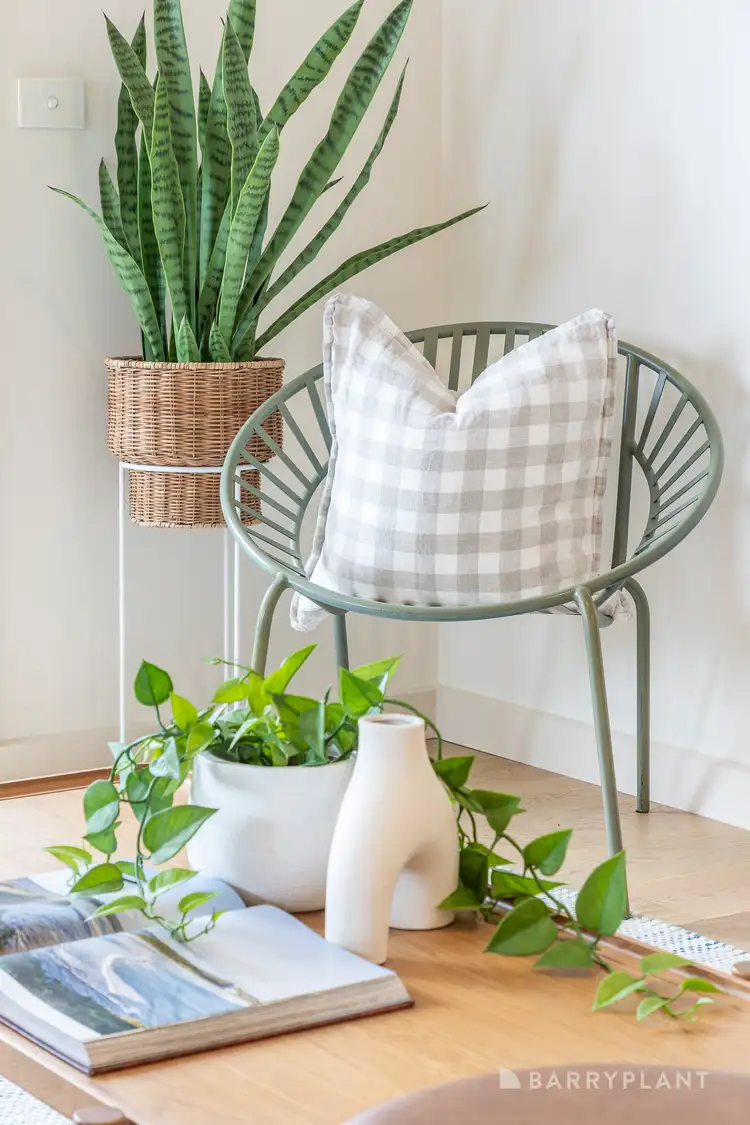 Fourth view of Homely apartment listing, 12/121 Mcdonald Street, Mordialloc VIC 3195