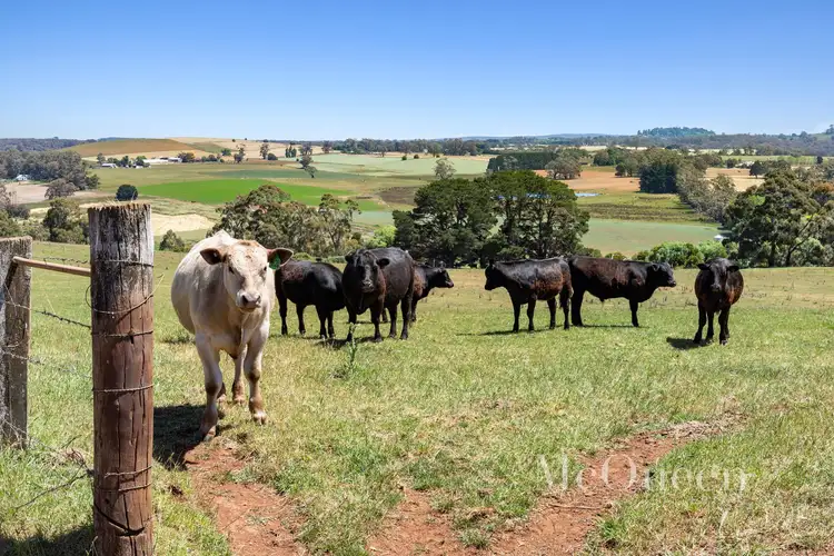 Sixth view of Homely house listing, 284 Back Glenlyon Road, Glenlyon VIC 3461