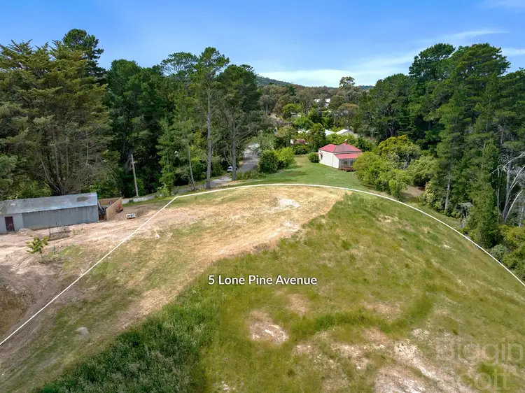 Third view of Homely land listing, 5 Lone Pine Avenue, Hepburn Springs VIC 3461