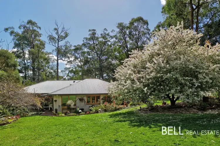 Main view of Homely house listing, 23 Williamson Road, Gembrook VIC 3783