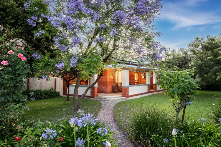 541 Ebden Street, South Albury NSW 2640