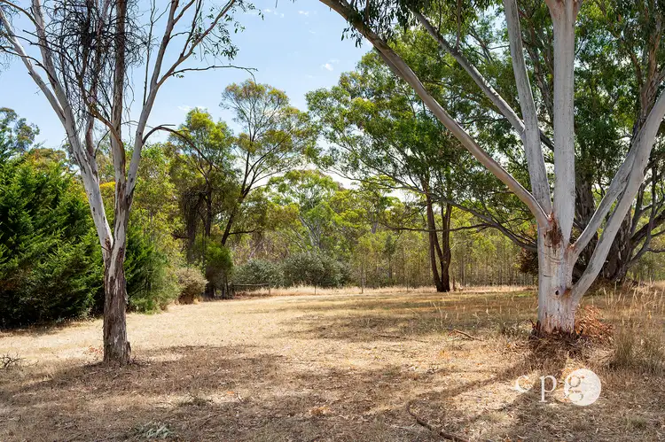 Fifth view of Homely land listing, Part of, 533 Maldon-Newstead Road, Welshmans Reef VIC 3462