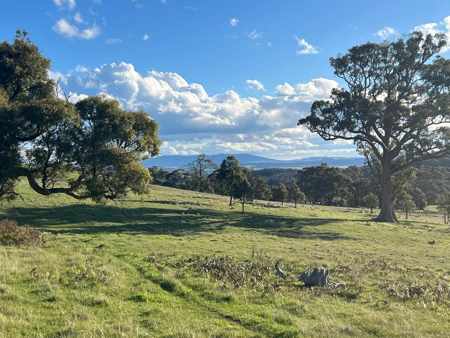 Main view of Homely land listing, Lancefield-Pyalong Road, Goldie VIC 3435