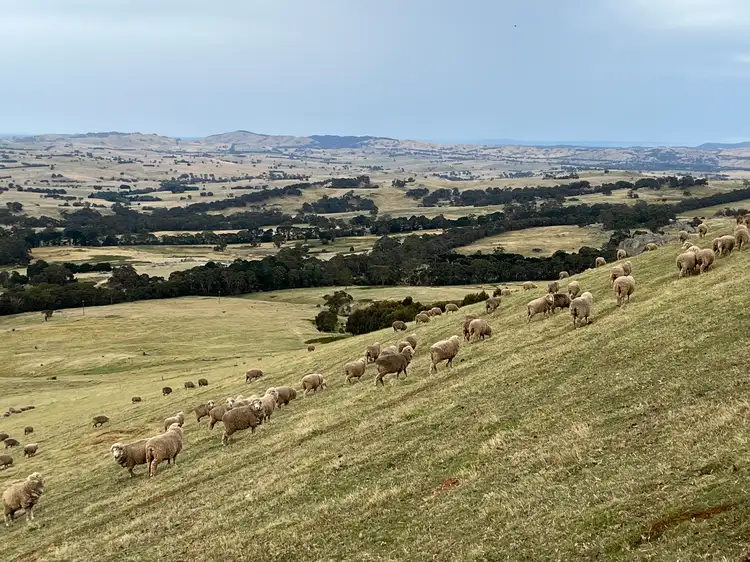 Second view of Homely land listing, Lancefield-Pyalong Road, Goldie VIC 3435