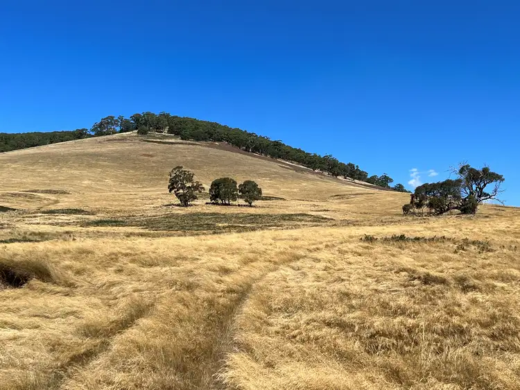 Fourth view of Homely land listing, Lancefield-Pyalong Road, Goldie VIC 3435