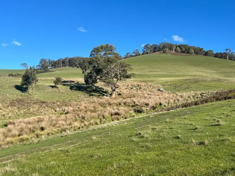 Fifth view of Homely land listing, Lancefield-Pyalong Road, Goldie VIC 3435
