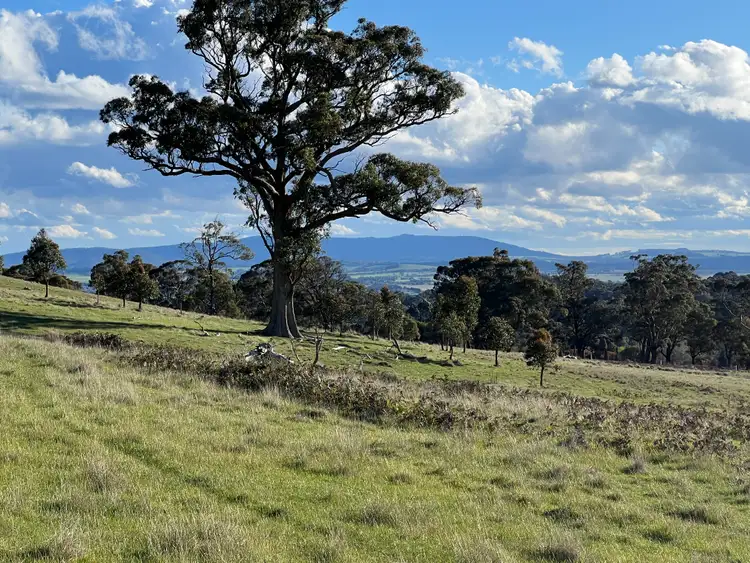 Sixth view of Homely land listing, Lancefield-Pyalong Road, Goldie VIC 3435