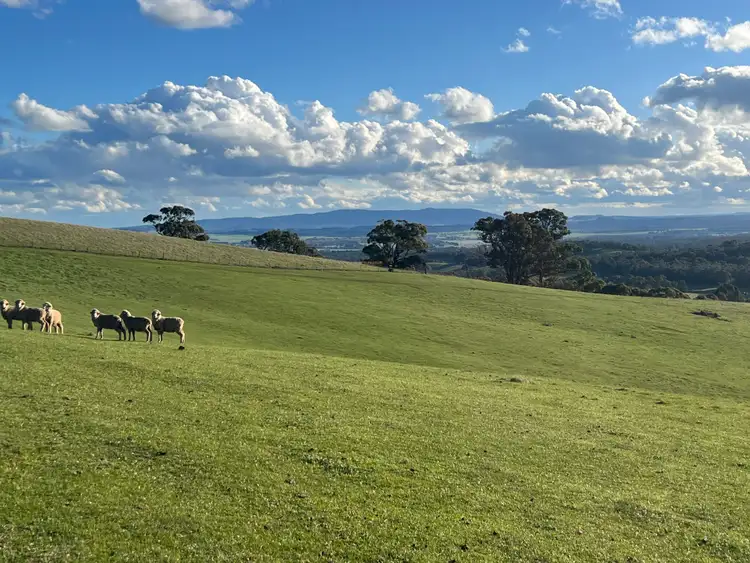 Seventh view of Homely land listing, Lancefield-Pyalong Road, Goldie VIC 3435