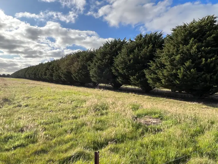 Seventh view of Homely land listing, LOT Lot 2 Kennedys Lane, Chintin VIC 3756