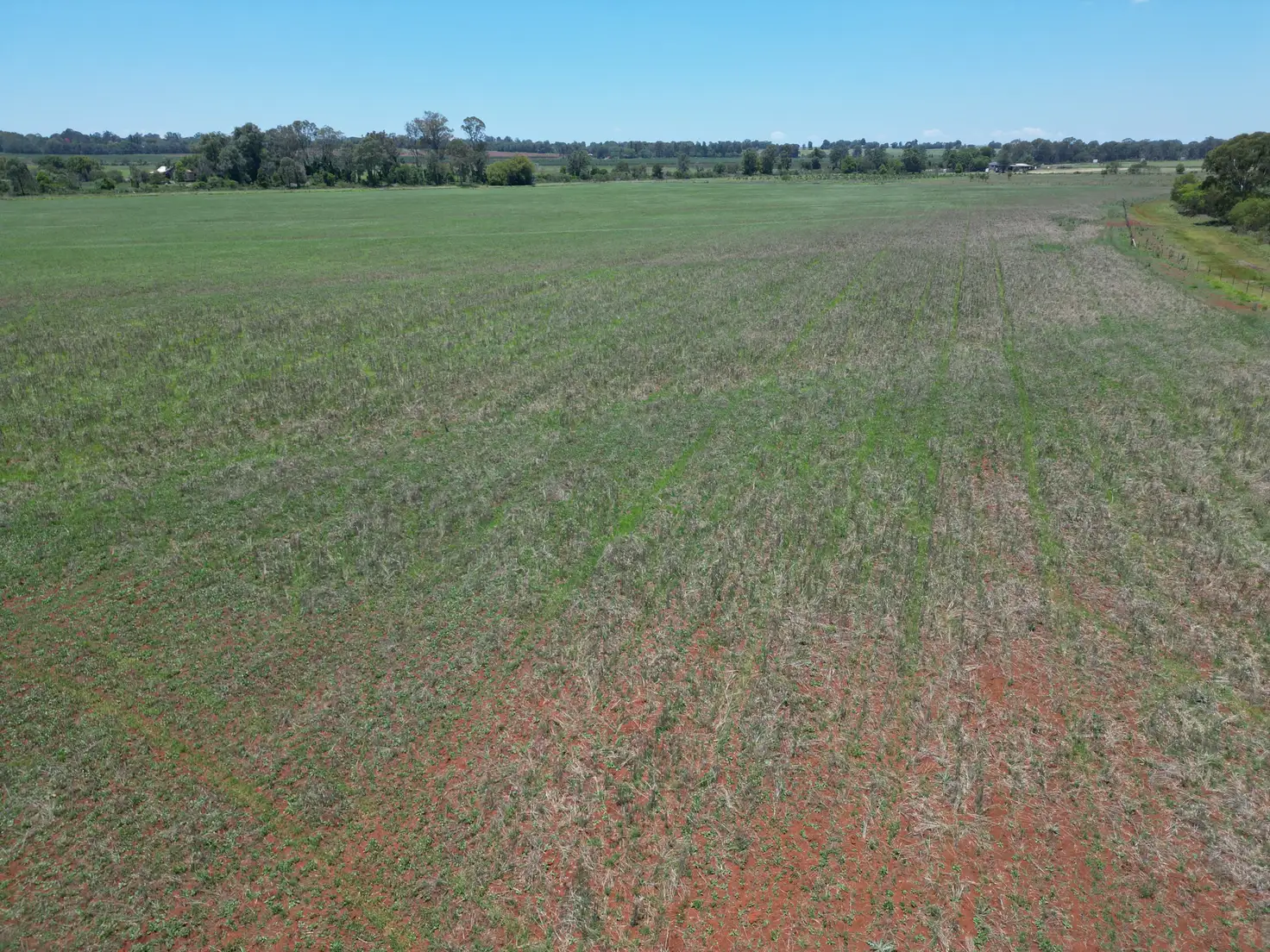 Main view of Homely rural property listing, 50 D'Aguilar Highway, Kingaroy QLD 4610