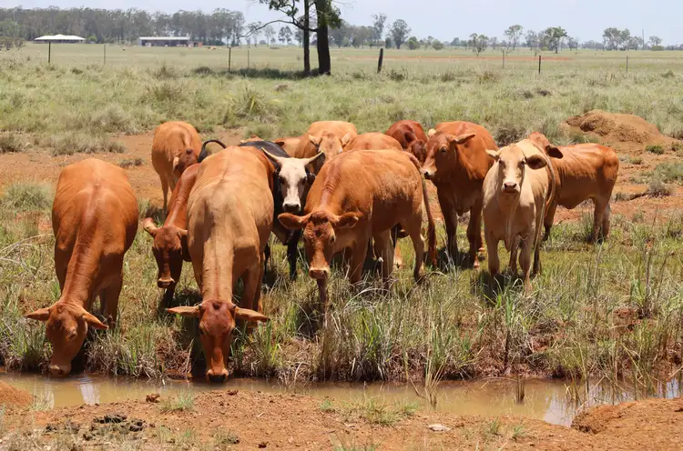 Third view of Homely rural property listing, 50 D'Aguilar Highway, Kingaroy QLD 4610