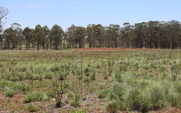 Fifth view of Homely rural property listing, 50 D'Aguilar Highway, Kingaroy QLD 4610