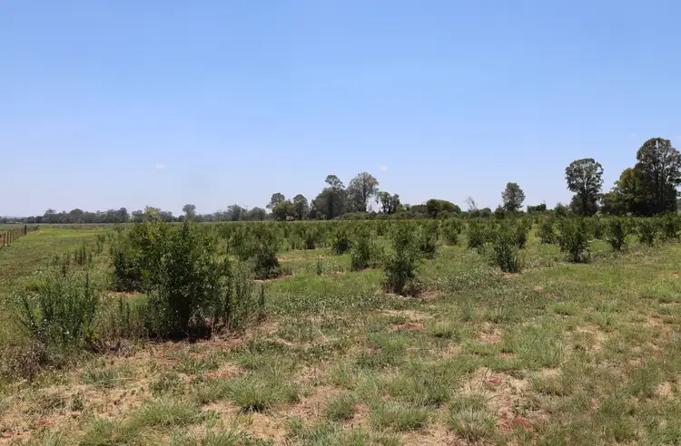 Seventh view of Homely rural property listing, 50 D'Aguilar Highway, Kingaroy QLD 4610