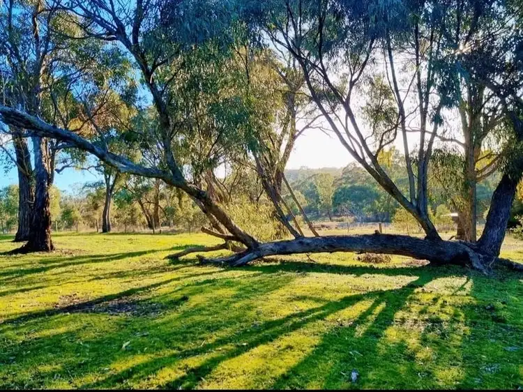 Main view of Homely land listing, 813 Strath Creek Road, Tyaak VIC 3658