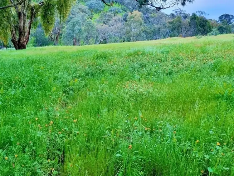 Seventh view of Homely land listing, 813 Strath Creek Road, Tyaak VIC 3658