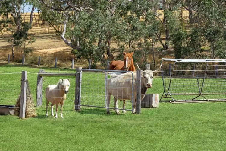 Third view of Homely house listing, 22 Metcalfe Redesdale Road, Metcalfe VIC 3448