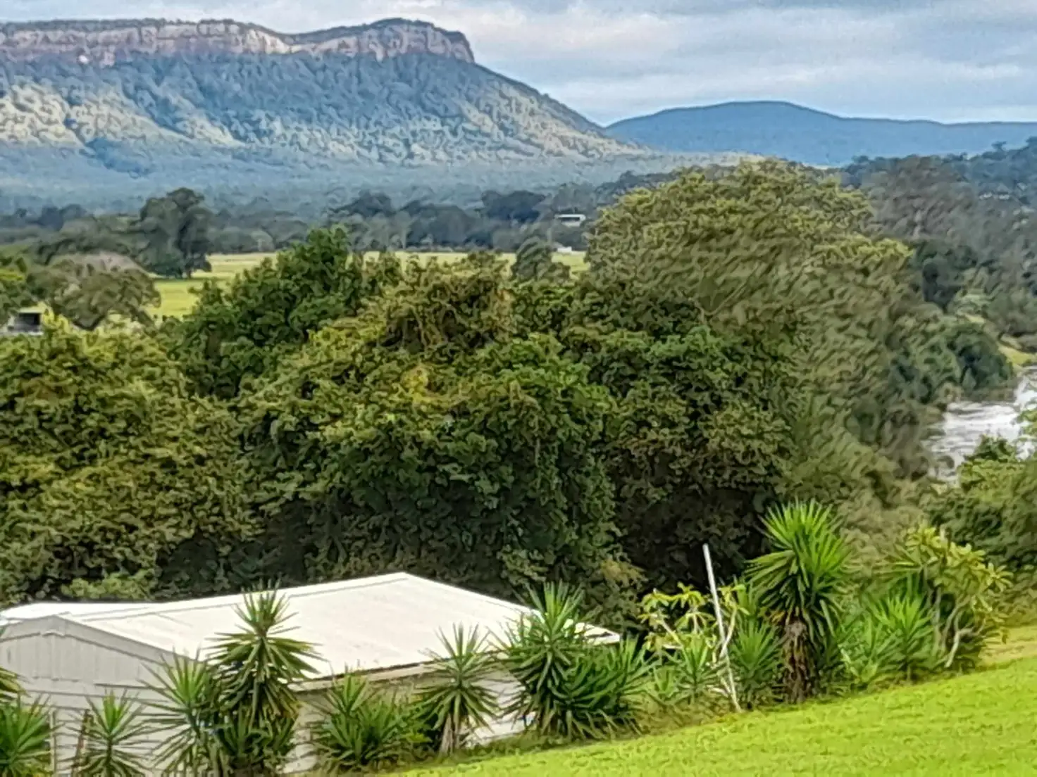 Main view of Homely house listing, 691 Beechwood Road, Beechwood NSW 2446