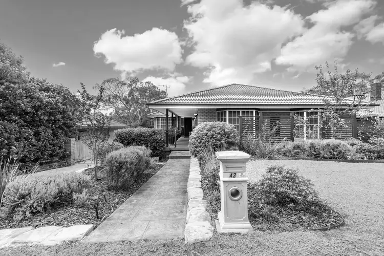 Main view of Homely house listing, 43 Perry Avenue, Springwood NSW 2777