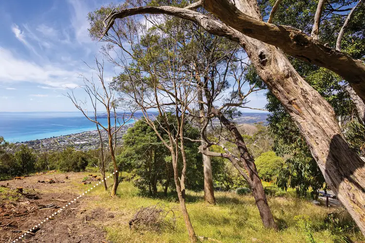 Third view of Homely land listing, 12 Nestle Court, Arthurs Seat VIC 3936