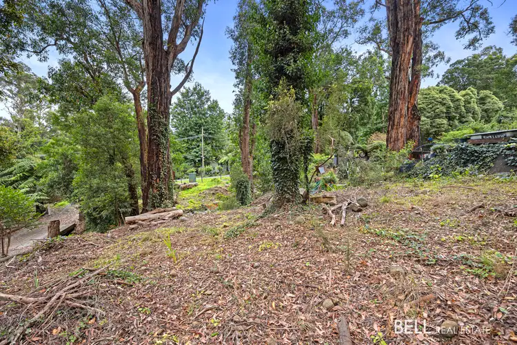 Seventh view of Homely land listing, 53 Wonga Road, Millgrove VIC 3799